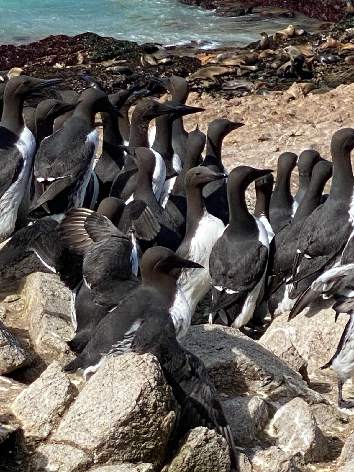 FULL DAY ECO-MISSION