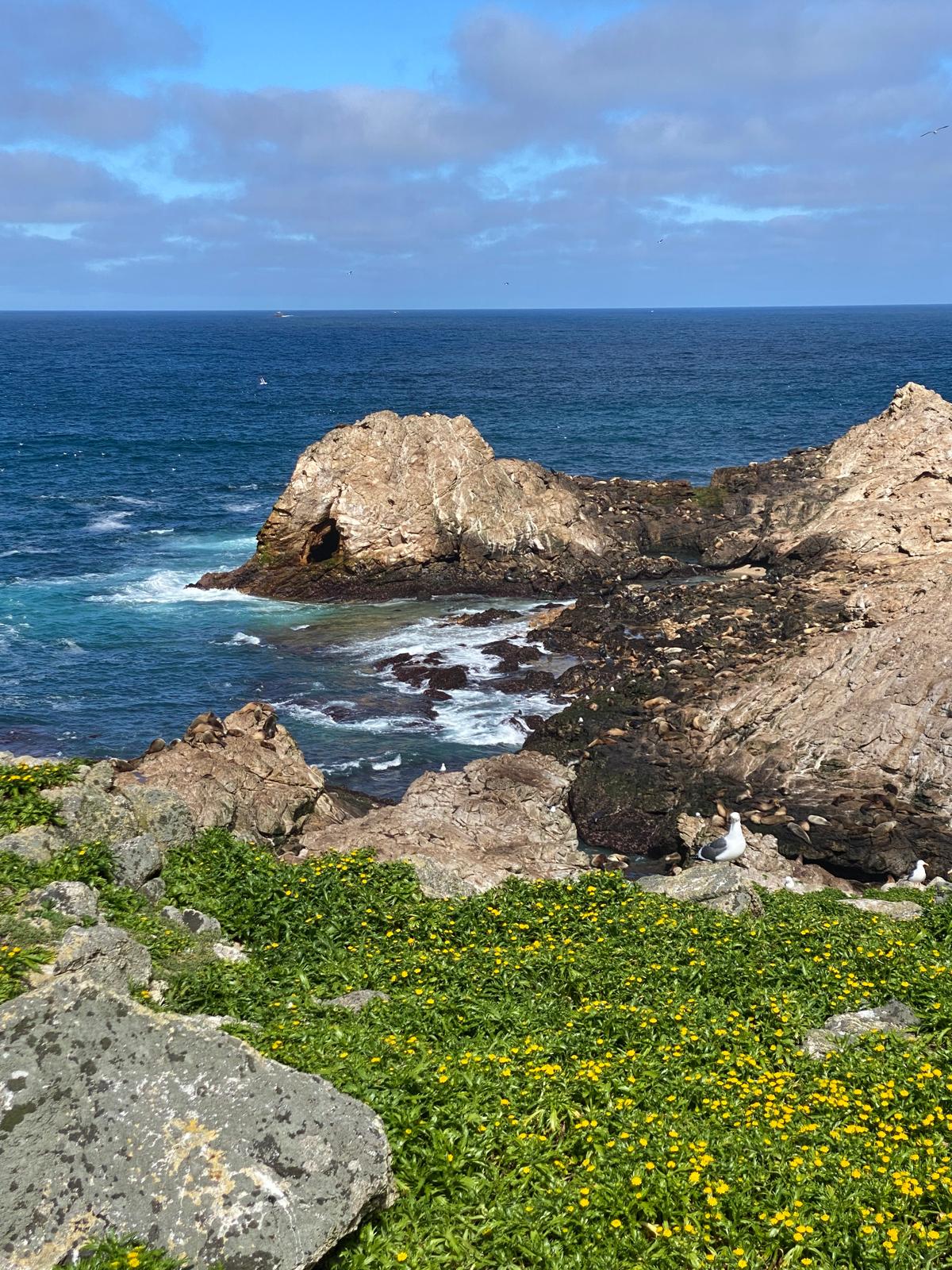 Farallon Islands